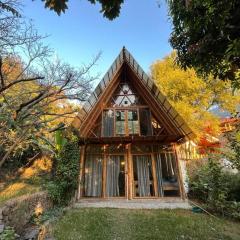 Beautiful Cabin at Gaia Temple