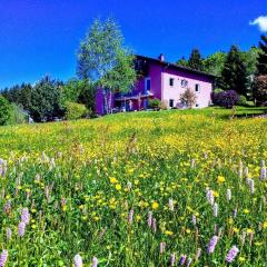 Ferienwohnung für 2 Personen ca 40 qm in Neureichenau, Bayern Bayerischer Wald