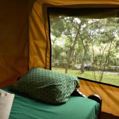 Room in BB - Red Rocks Rwanda - Safari Tent Twin