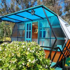 Glamping Mafer 1 Hexagonal