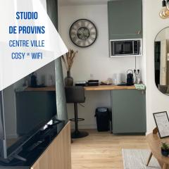 Studio - Suite rénovée de Provins