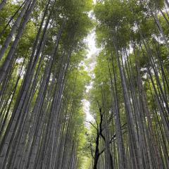 天龍の宿 New Open一棟貸切Private Villa Arashiyama Tenryu-ji Temple徒歩2分