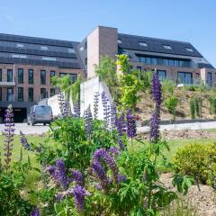 Flanders Cobblestone Paradise