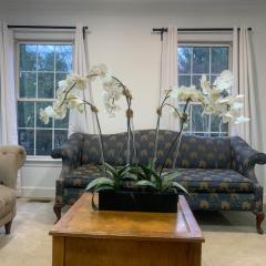 5BR Retreat Nature and Access Laurel MD