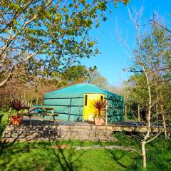 The Yurt in Cornish woods a Glamping experience