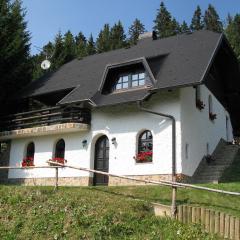 APARTMA ARNIKA Rogla, Turistično naselje NUNE RESNIK, RESNIK 110