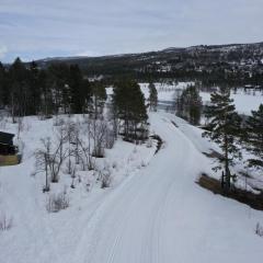 Cozy cabin in the center of Geilo