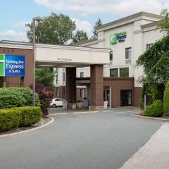 Holiday Inn Express and Suites Surrey by IHG