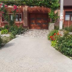 Casa Elena Eselnita