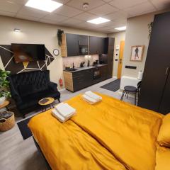 Base apartments ap 210 - Capital region of Reykjavík