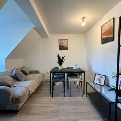 Wembley Stadium Serviced Apartments, 12mins to Central London