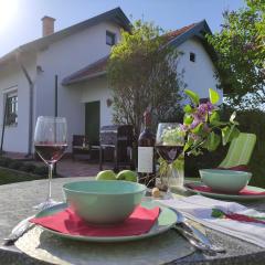 Szőlőhegyi házikó - Cottage in the vineyard