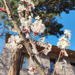 Mashtots B&B