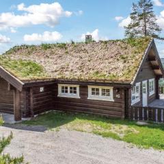 Awesome Home In Trysil With 4 Bedrooms, Sauna And Wifi