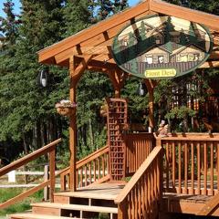 Denali Crow's Nest Cabins