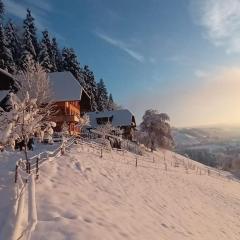 Ferienwohnung in Emmentaler Bauernhaus, Vogelsang