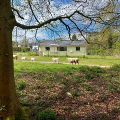 The Bungalow, Forest of Dean