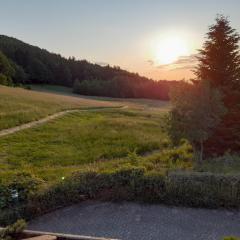 Schwarzwald pur! Mitten in der Natur!