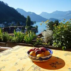 Charming Apartment w/Terrace on Lake and Mountain