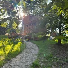 DanAya x Gîte Tiny House en forêt