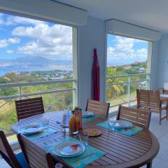 Le Cocotier - Vue panoramique Baie de FdF