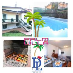 DesenzanoLoft Villa Palm Garda Beach, with garden, barbecue and pool