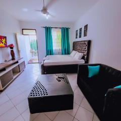 Dasha Studio apartment Bamburi D4