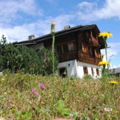 Bündnerchalet im Herz der Schweizer Alpen