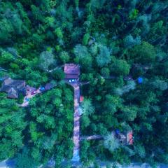 Humble Nest Coorg