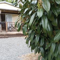 Au Cabanon Grenouille Gîte Le Pal