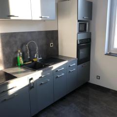 Appartement Villeurbanne