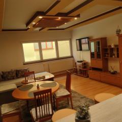 Fast Apartment in the centrum with FREE private parking