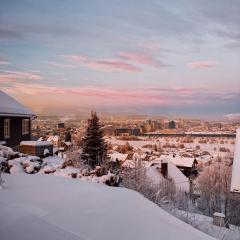 Apartment in Lillestrøm with free parking and great view, sleep 3 people