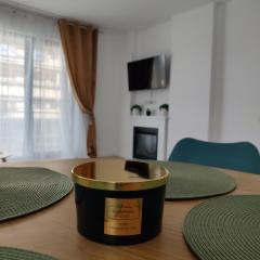 Apartament Cluj cu Terasa 10 minute Vivo Mall