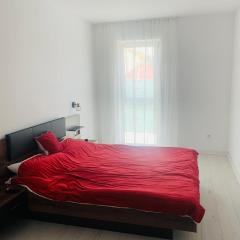 Apartament 1 camera