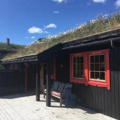 Haukeli Mountain Cabin