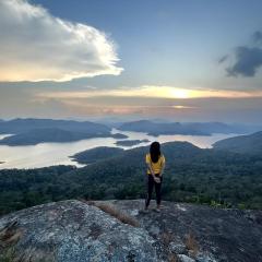 Misty Lavender Tent Stay Idukki