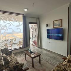Relaxing apartment overlooking the sea and 2 terrace on the sea