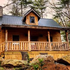 Luxury Mountain View Cabin Near Asheville NC