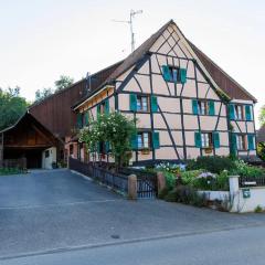 Gîte alsacien rénové avec jardin près de la Suisse et de l'Allemagne, idéal pour familles et amis - FR-1-744-29