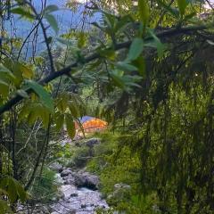 Mystic Vibes - Jibhi
