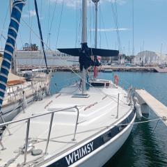Velero Valencia Whimsy