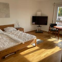 Cozy, sunny, city center 1 bedroom flat (Marble 3)