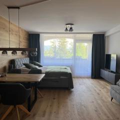 Wolfgangsee Ferienappartement Seeliebe
