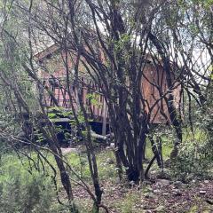 Petit chalet en pleine nature avec accès rivière