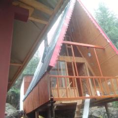 Nature nest Tree house jibhi