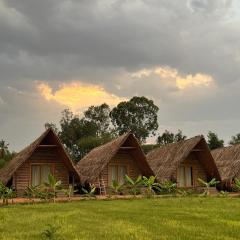 Tropical Hampi