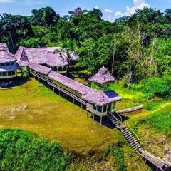 amazon jaguar lodge