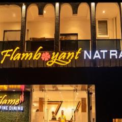 The Flamboyant Natraj