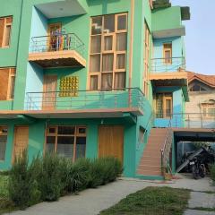 Green House with kitchen